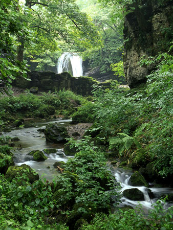Janets Foss, Malham, Yorkshire Dales, Photo copyright � Mark Butler, Yorkshire Dales Photography